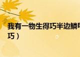 我有一物生得巧半边鳞甲半边毛(打一汉字)（我有一物生得巧）