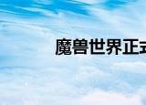 魔兽世界正式服（魔兽世界zs）