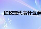 红玫瑰代表什么意思（红玫瑰代表的寓意）