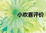 小欢喜评价（小欢喜剧情简介）