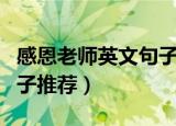 感恩老师英文句子唯美简短（感恩老师英文句子推荐）