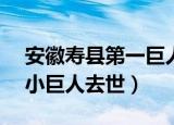 安徽寿县第一巨人图片（身高2 26米的寿县小巨人去世）
