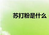 苏打粉是什么（苏打粉的简单介绍）