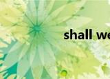 shall we talk（shall）
