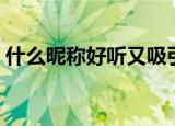 什么昵称好听又吸引人（吸引人的网名大全）