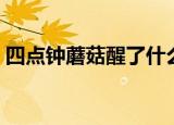 四点钟蘑菇醒了什么意思（蘑菇醒了的含义）