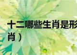 十二哪些生肖是形影不离（形影不离是什么生肖）