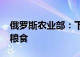 俄罗斯农业部：下半年俄准备出口3000万吨粮食