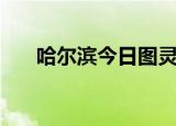 哈尔滨今日图灵官（哈尔滨今日图灵）
