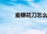 麦穗花刀怎么切视频（麦穗花刀）