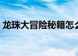 龙珠大冒险秘籍怎么获得（龙珠大冒险秘籍）