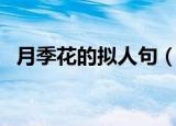 月季花的拟人句（怎么写出月季花的美丽）