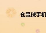 仓鼠球手机版下载（仓鼠球）