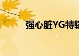 强心脏YG特辑（强心脏110823）