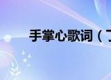 手掌心歌词（丁当手掌心歌词介绍）