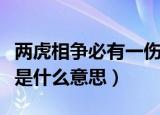 两虎相争必有一伤的意思（两虎相争必有一伤是什么意思）