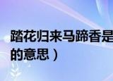 踏花归来马蹄香是什么意思（踏花归来马蹄香的意思）