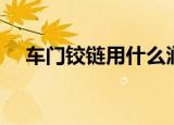 车门铰链用什么润滑油最好（车门铰链）
