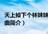 天上掉下个林妹妹歌词（天上掉下个林妹妹歌曲简介）