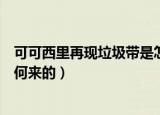可可西里再现垃圾带是怎么来的（可可西里再现垃圾带是如何来的）