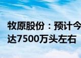 牧原股份：预计今年年底公司生猪养殖产能可达7500万头左右