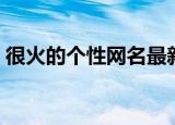 很火的个性网名最新好听（比较个性的网名）