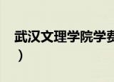 武汉文理学院学费2022（武汉文理学院学费）