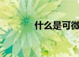 什么是可微点（微点怎么样）
