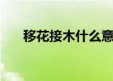 移花接木什么意思（移花接木的解释）