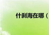 什刹海在哪（什刹海的简单介绍）