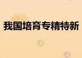我国培育专精特新“小巨人”企业约9000家