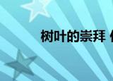 树叶的崇拜 伴奏（树叶的崇拜）