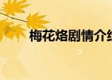 梅花烙剧情介绍（梅花烙剧情简介）