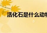 活化石是什么动物（关于活化石的介绍）