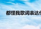 都怪我歌词表达什么感情（都怪我歌词）