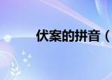 伏案的拼音（伏案的拼音是什么）