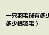一只羽毛球有多少根羽毛?（一个羽毛球上有多少根羽毛）