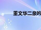 董文华二泉吟曲谱（二泉吟曲谱）