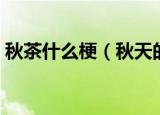 秋茶什么梗（秋天的第一杯奶茶是什么意思）