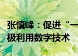 张慎峰：促进“一带一路”服务贸易合作要积极利用数字技术
