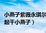 小燕子紫薇永琪尔康一起唱歌（永琪和尔康一起干小燕子）