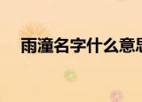 雨潼名字什么意思（名字雨潼什么意思）