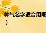 帅气名字适合用哪些字（盘点比较帅气的名字）