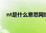 nt是什么意思网络用语（nt是什么意思）