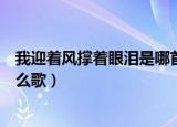 我迎着风撑着眼泪是哪首歌的歌词（我迎着风撑着眼帘是什么歌）