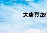 大唐真龙传（大唐真龙贰）