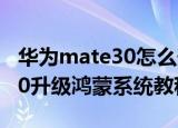 华为mate30怎么升级鸿蒙系统（华为mate30升级鸿蒙系统教程）