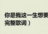你是我这一生想要的美丽女人歌名（这首歌词完整歌词）