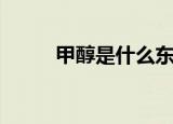 甲醇是什么东西啊（甲醇是什么）