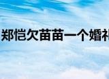 郑恺欠苗苗一个婚礼!（郑恺欠苗苗一个婚礼）